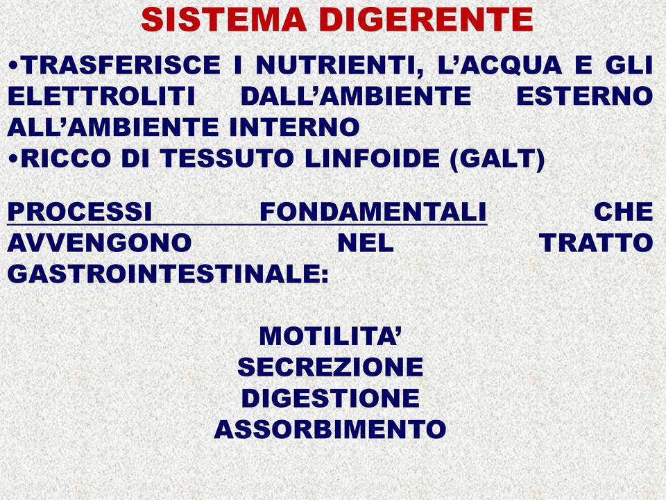 TESSUTO LINFOIDE (GALT) PROCESSI FONDAMENTALI CHE AVVENGONO NEL