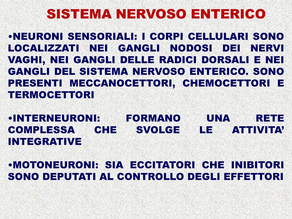 SONO PRESENTI MECCANOCETTORI, CHEMOCETTORI E TERMOCETTORI INTERNEURONI: FORMANO UNA RETE COMPLESSA