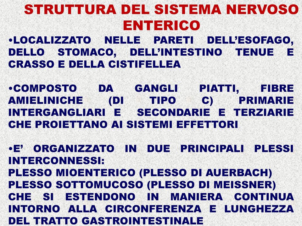 (PLESSO DI MEISSNER) CHE SI ESTENDONO IN MANIERA CONTINUA INTORNO ALLA CIRCONFERENZA E LUNGHEZZA DEL TRATTO GASTROINTESTINALE