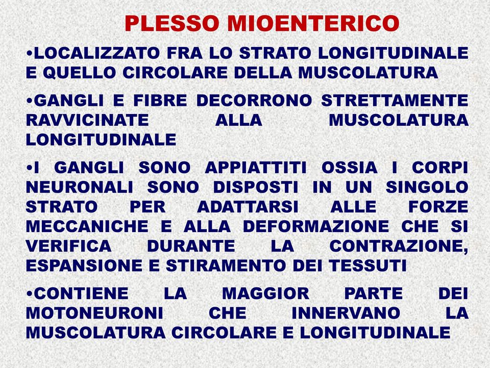 UN SINGOLO STRATO PER ADATTARSI ALLE FORZE MECCANICHE E ALLA DEFORMAZIONE CHE SI VERIFICA DURANTE LA CONTRAZIONE,