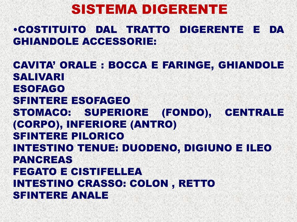 SUPERIORE (FONDO), CENTRALE (CORPO), INFERIORE (ANTRO) SFINTERE PILORICO INTESTINO