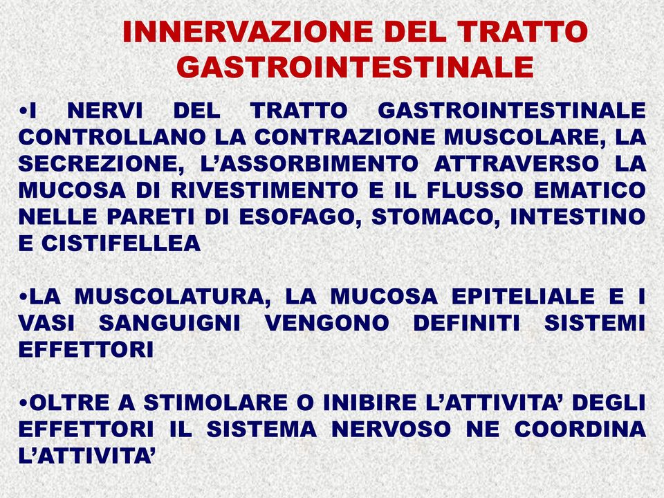 DI ESOFAGO, STOMACO, INTESTINO E CISTIFELLEA LA MUSCOLATURA, LA MUCOSA EPITELIALE E I VASI SANGUIGNI VENGONO