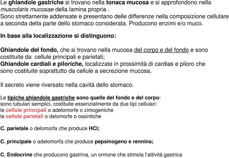 In base alla localizzazione si distinguono: Ghiandole del fondo, che si trovano nella mucosa del corpo e del fondo e sono costituite da cellule principali e parietali; Ghiandole cardiali e piloriche,