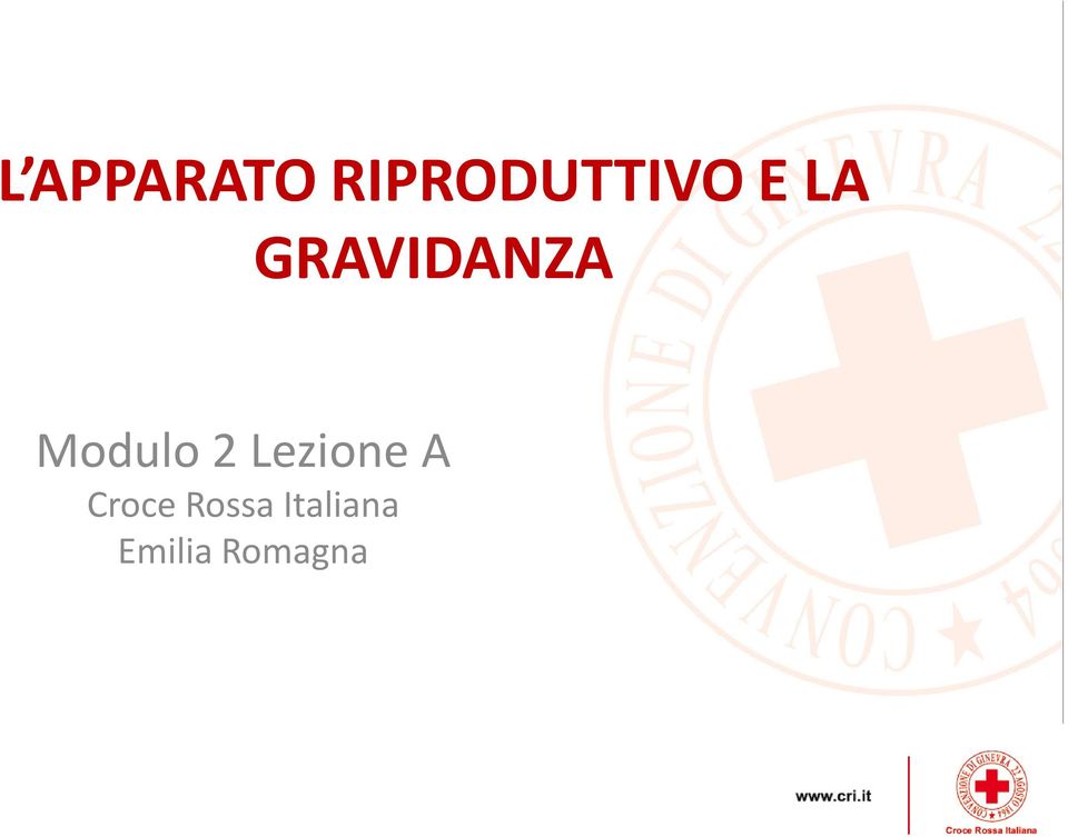 2 Lezione A Croce Rossa