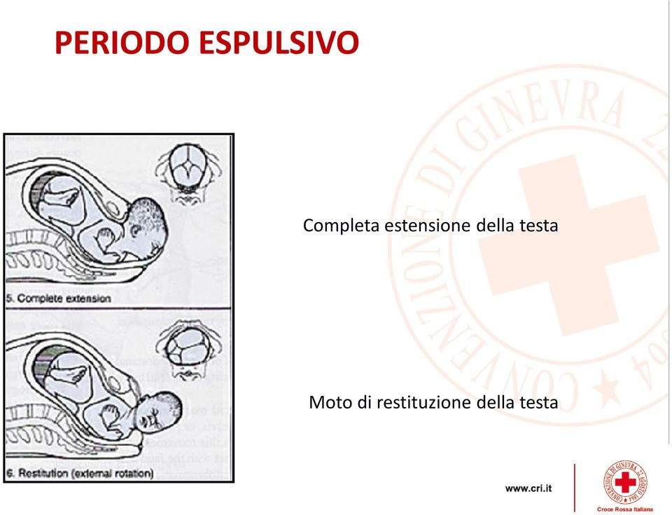 della testa Moto di