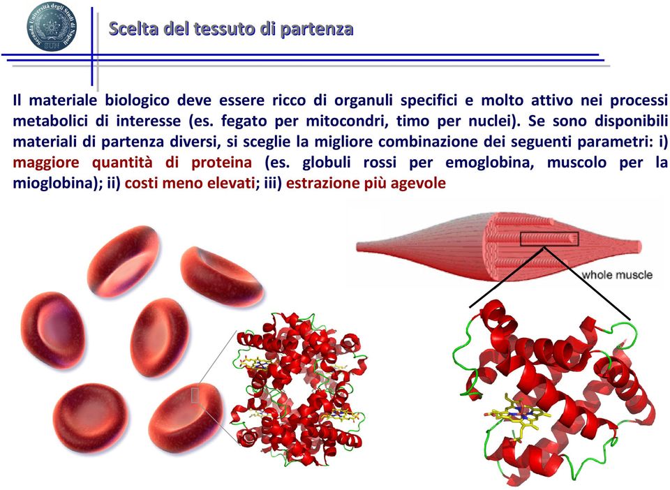 Se sono disponibili materiali di partenza diversi, si sceglie la migliore combinazione dei seguenti parametri: