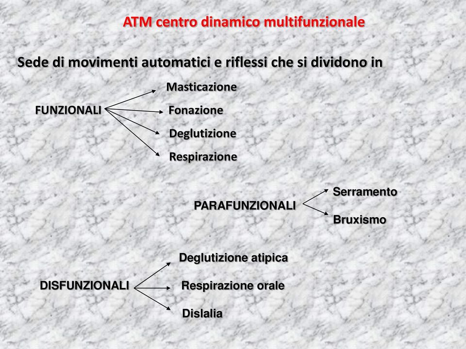 FUNZIONALI Fonazione Deglutizione Respirazione PARAFUNZIONALI