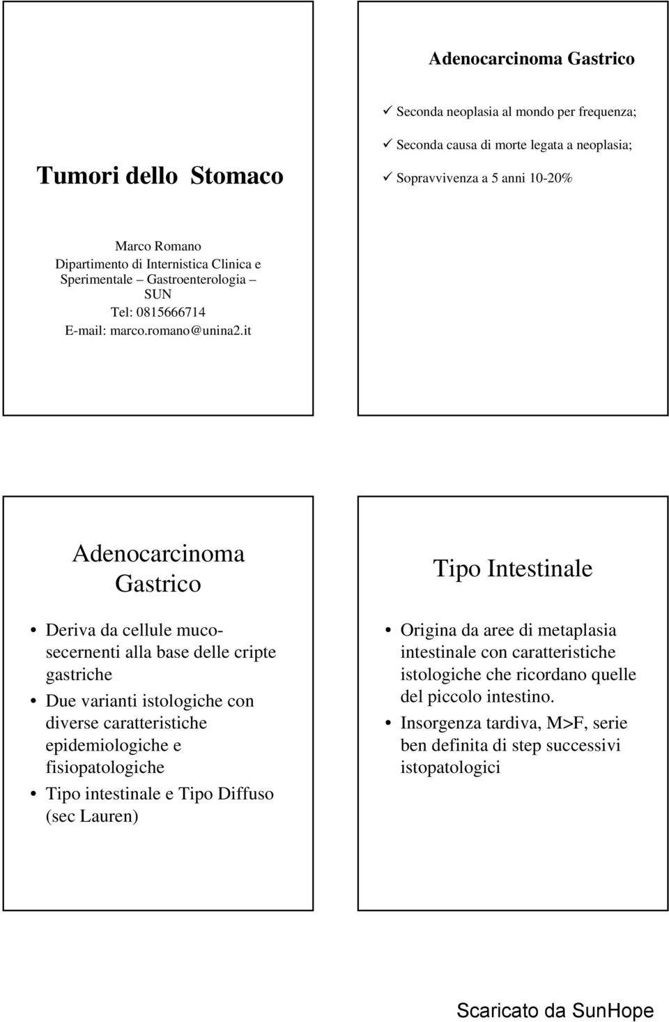 it Adenocarcinoma Gastrico Deriva da cellule mucosecernenti alla base delle cripte gastriche Due varianti istologiche con diverse caratteristiche epidemiologiche e fisiopatologiche