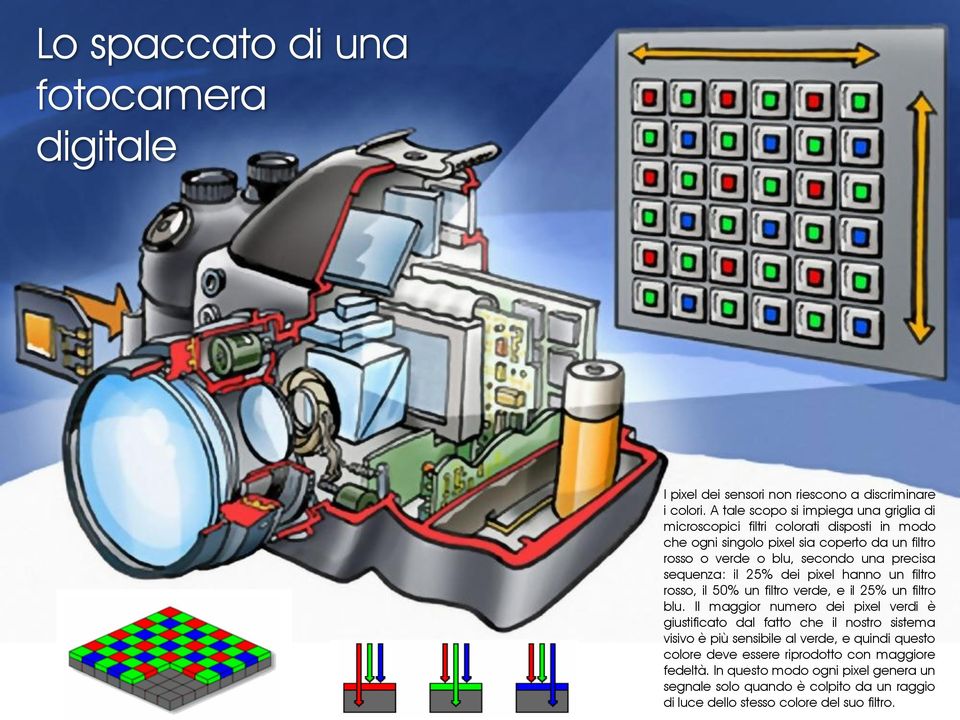 precisa sequenza: il 25% dei pixel hanno un filtro rosso, il 50% un filtro verde, e il 25% un filtro blu.