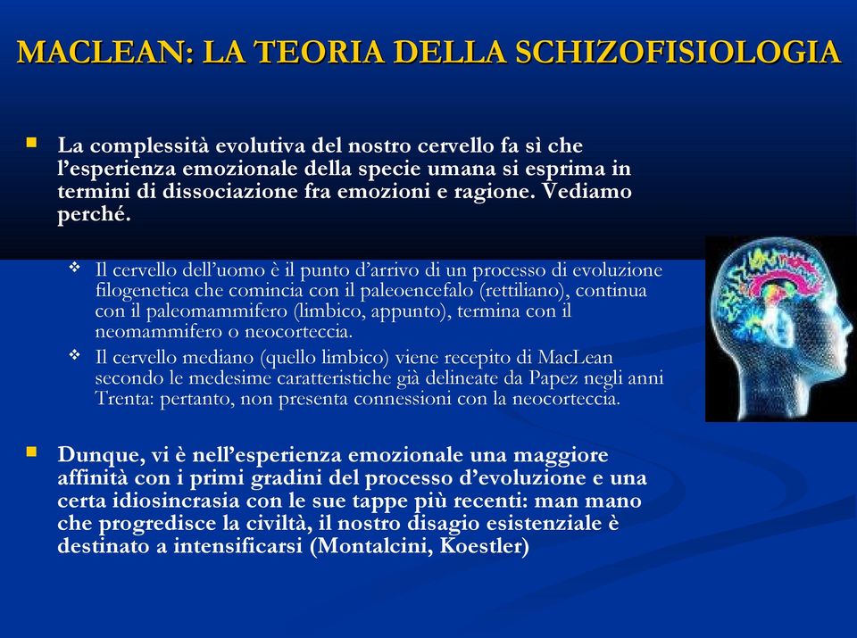 Il cervello dell uomo è il punto d arrivo di un processo di evoluzione filogenetica che comincia con il paleoencefalo (rettiliano), continua con il paleomammifero (limbico, appunto), termina con il