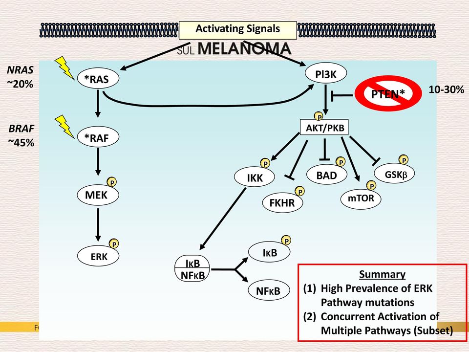 NFKB IKB NFKB P Summary (1) High Prevalence of ERK Pathway