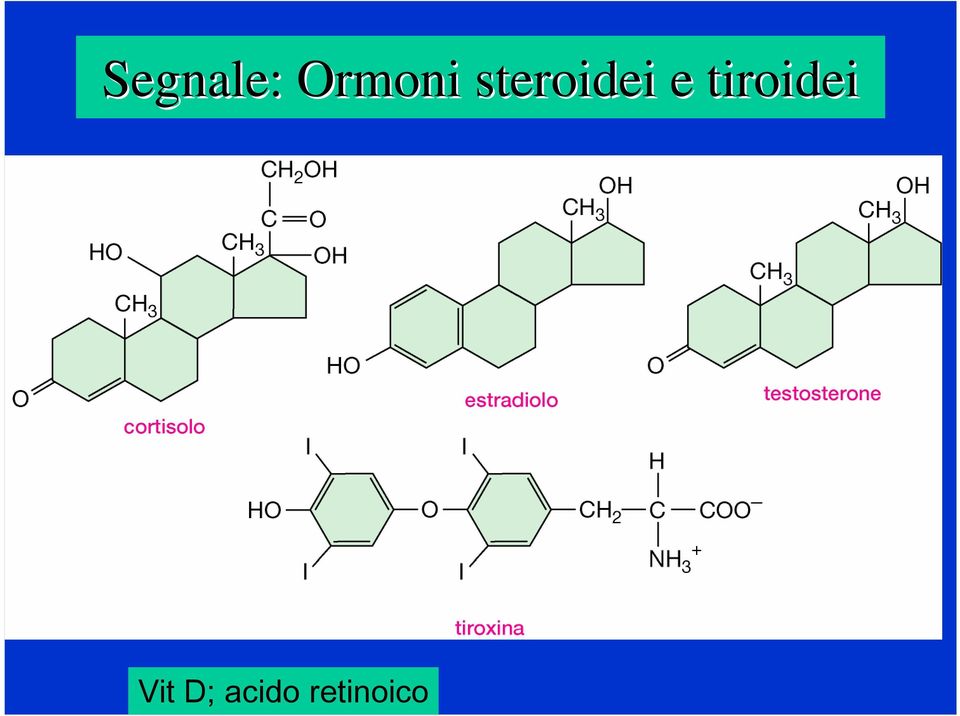 steroidei e