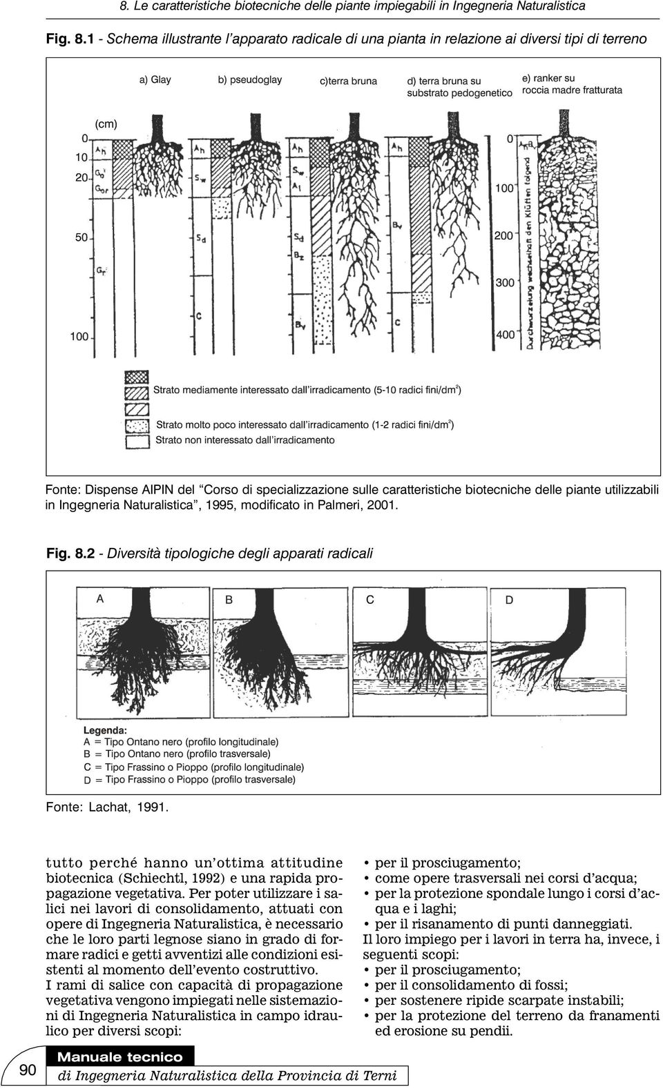 utilizzabili in Ingegneria Naturalistica, 1995, modificato in Palmeri, 2001. 2 - Diversità tipologiche degli apparati radicali Fonte: Lachat, 1991.