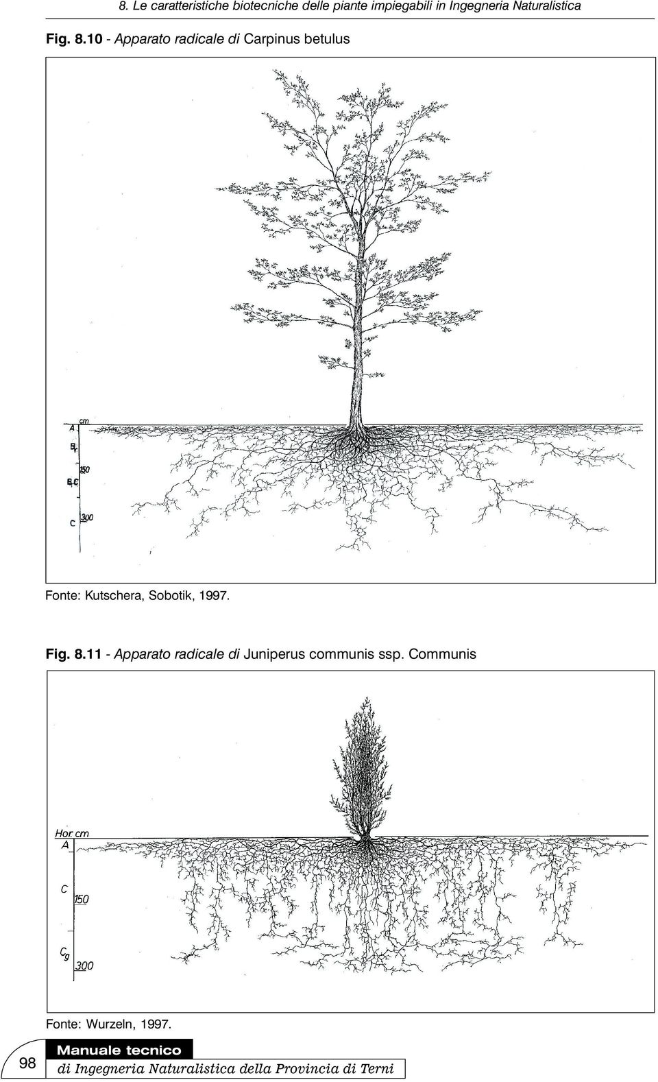 Kutschera, Sobotik, 1997.