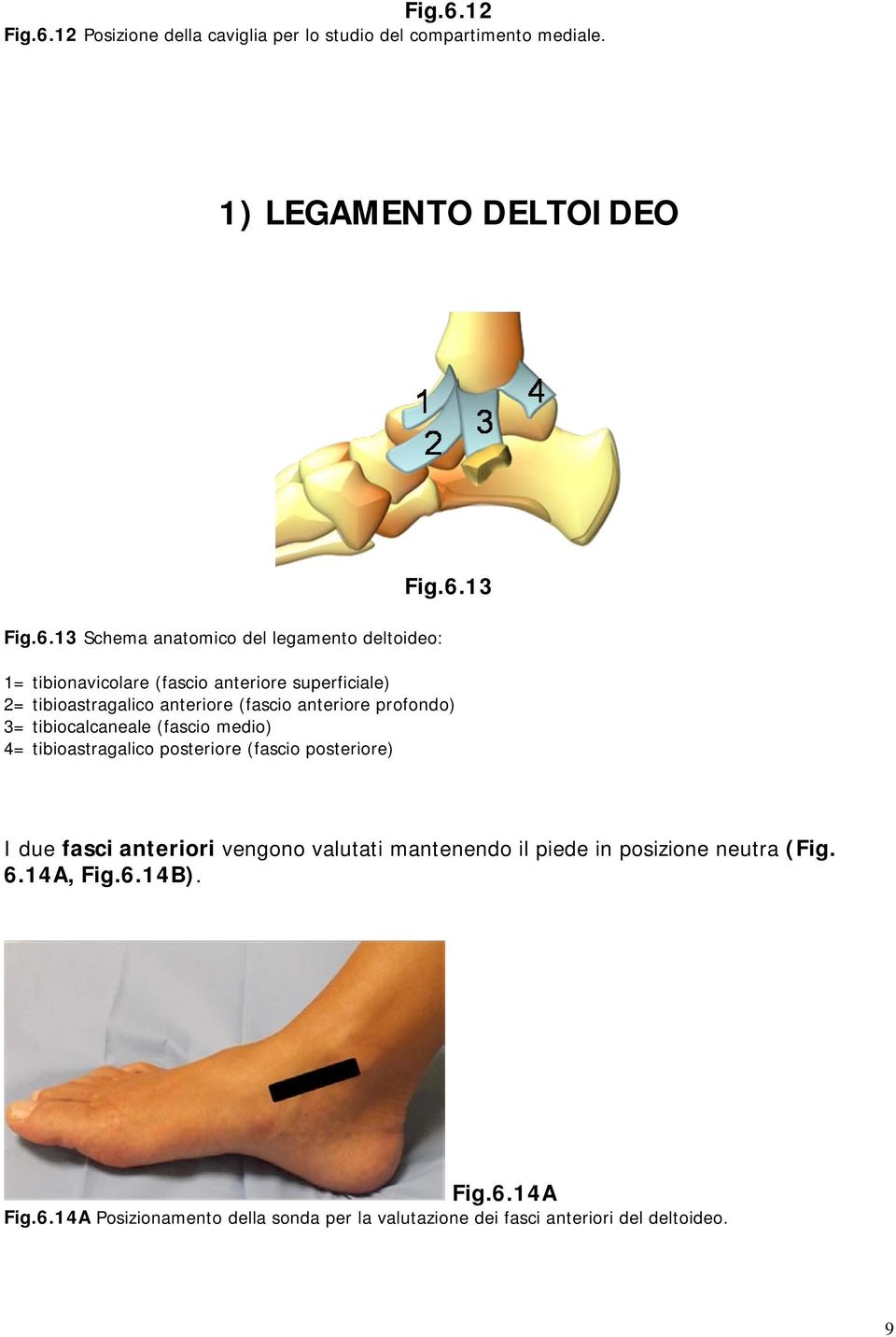 medio) 4= tibioastragalico posteriore (fascio posteriore) I due fasci anteriori vengono valutati mantenendo il piede in posizione neutra (Fig.