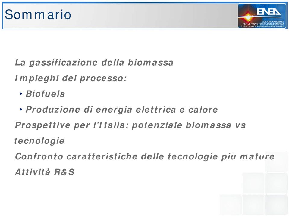 Prospettive per l Italia: potenziale biomassa vs tecnologie