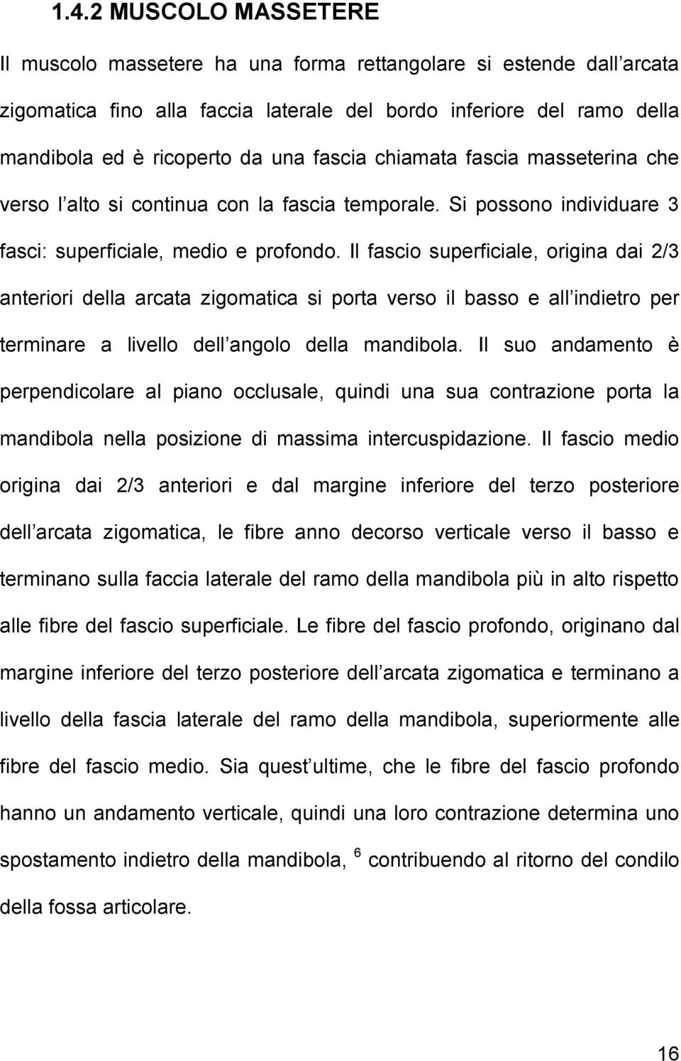 Il fascio superficiale, origina dai 2/3 anteriori della arcata zigomatica si porta verso il basso e all indietro per terminare a livello dell angolo della mandibola.