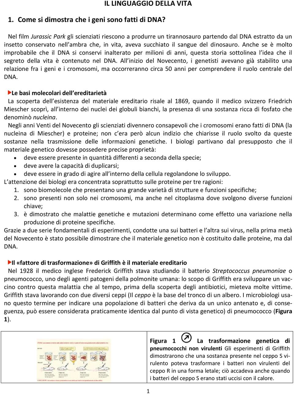 Anche se è molto improbabile che il DNA si conservi inalterato per milioni di anni, questa storia sottolinea l idea che il segreto della vita è contenuto nel DNA.