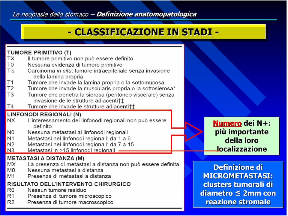 importante della loro localizzazione Definizione di