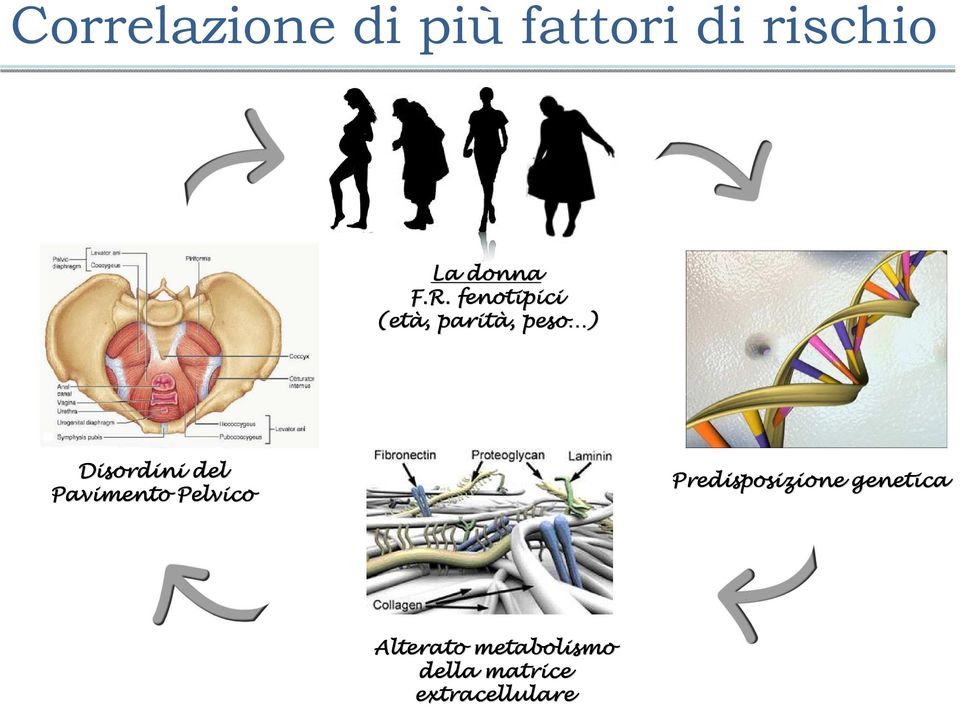 del Pavimento Pelvico Predisposizione genetica