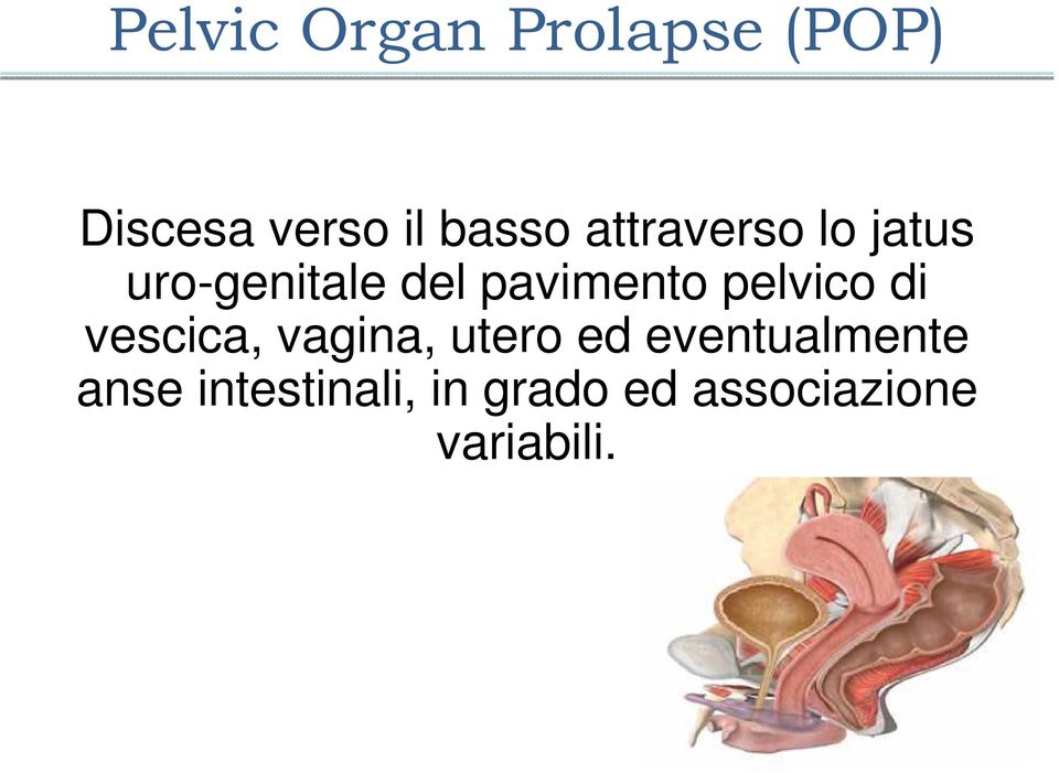 pelvico di vescica, vagina, utero ed eventualmente