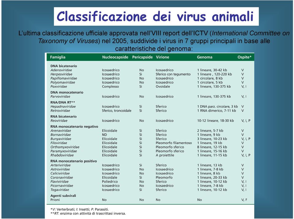Committee on Taxonomy of Viruses) nel 2005, suddivide i virus