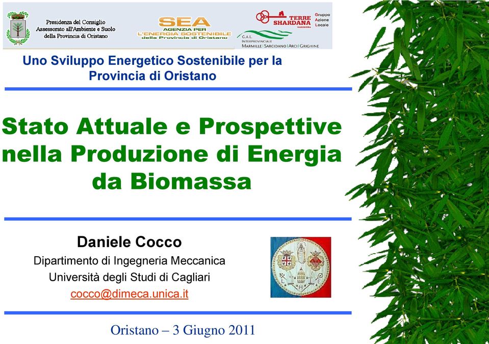 Biomassa Daniele Cocco Dipartimento di Ingegneria Meccanica