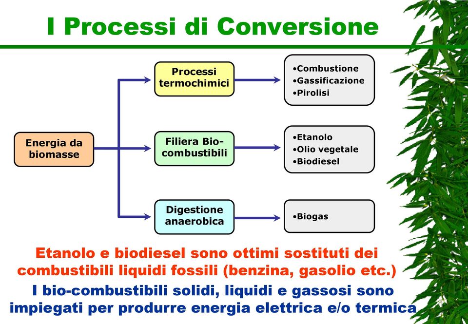 Etanolo e biodiesel sono ottimi sostituti dei combustibili liquidi fossili (benzina, gasolio etc.