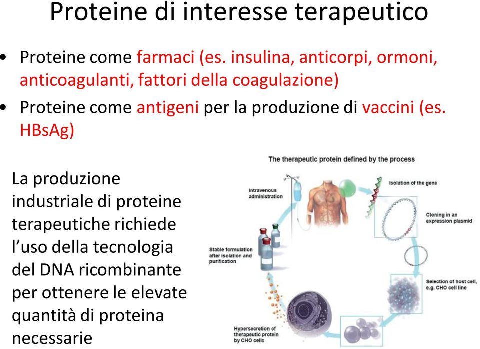 antigeni per la produzione di vaccini (es.