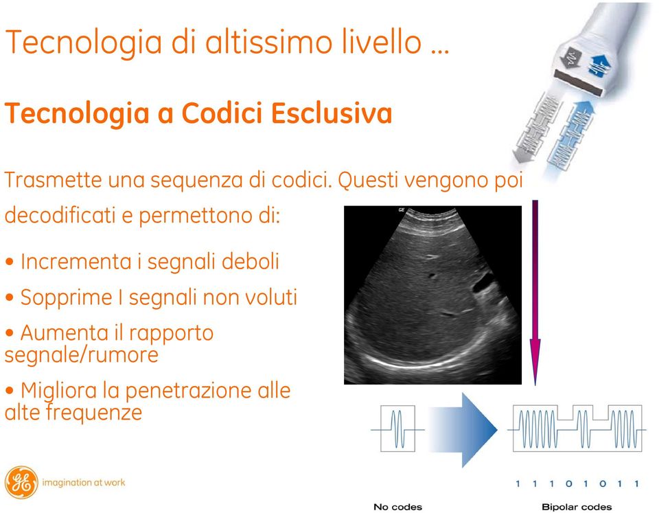 Questi vengono poi decodificati e permettono di: Incrementa i segnali