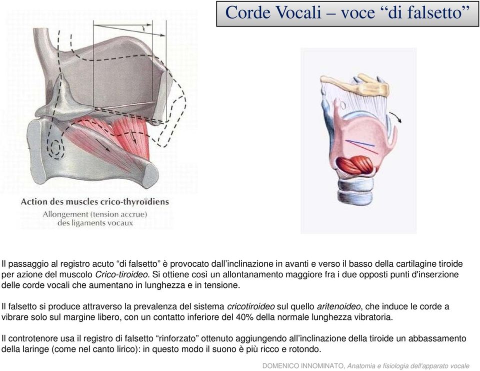 Il falsetto si produce attraverso la prevalenza del sistema cricotiroideo sul quello aritenoideo, che induce le corde a vibrare solo sul margine libero, con un contatto inferiore del 40%