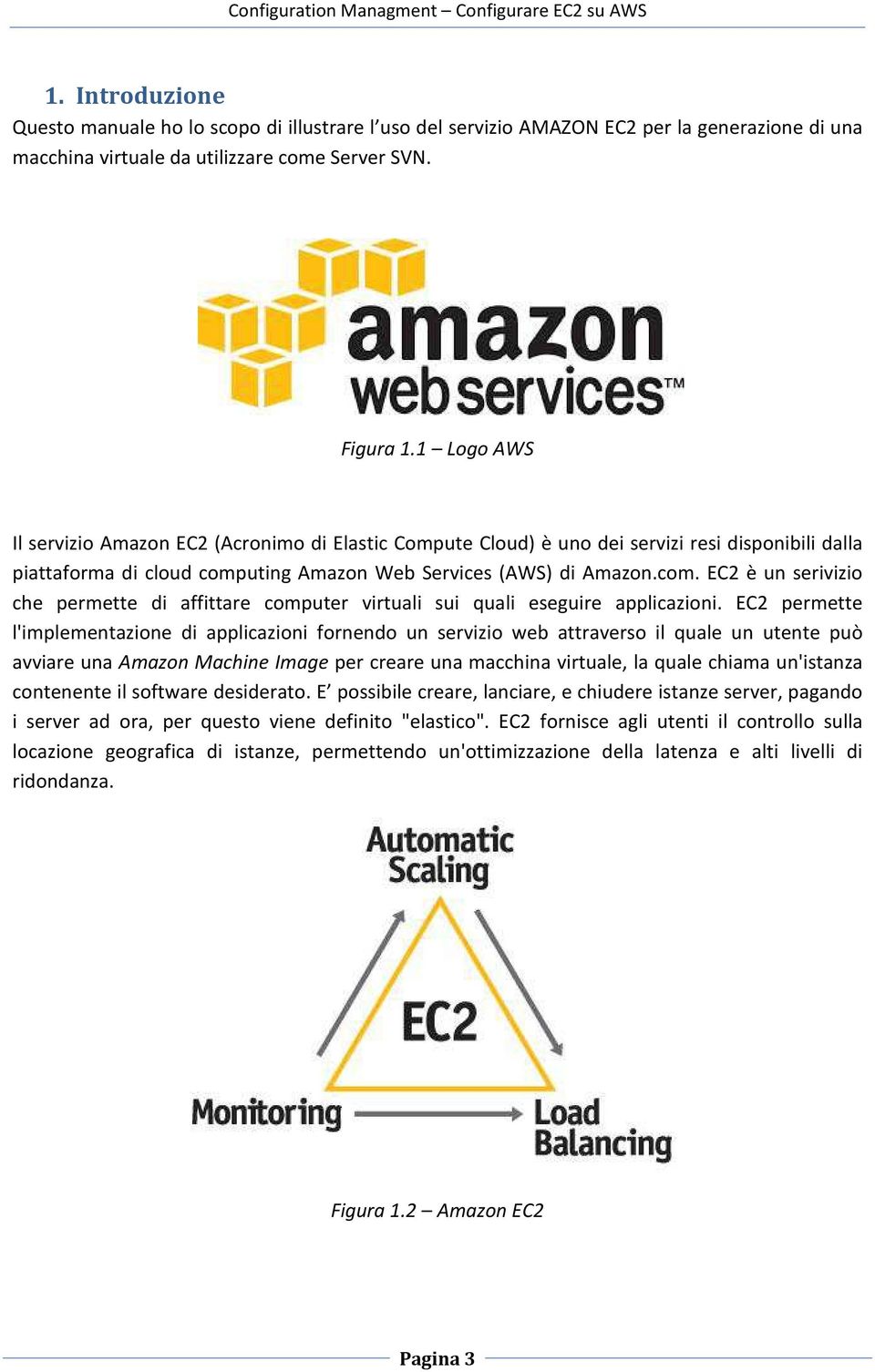 uting Amazon Web Services (AWS) di Amazon.com. EC2 è un serivizio che permette di affittare computer virtuali sui quali eseguire applicazioni.