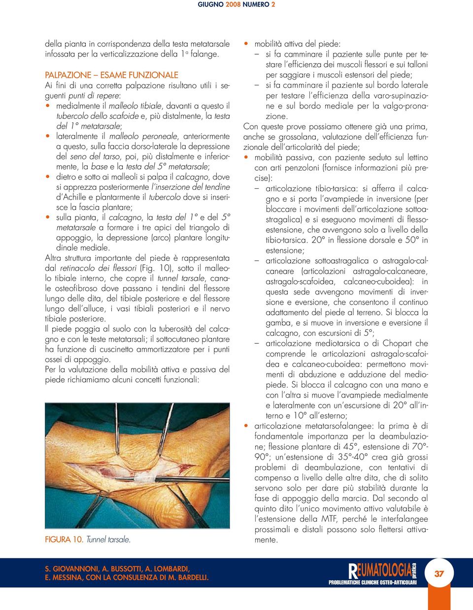 distalmente, la testa del 1 metatarsale; lateralmente il malleolo peroneale, anteriormente a questo, sulla faccia dorso-laterale la depressione del seno del tarso, poi, più distalmente e