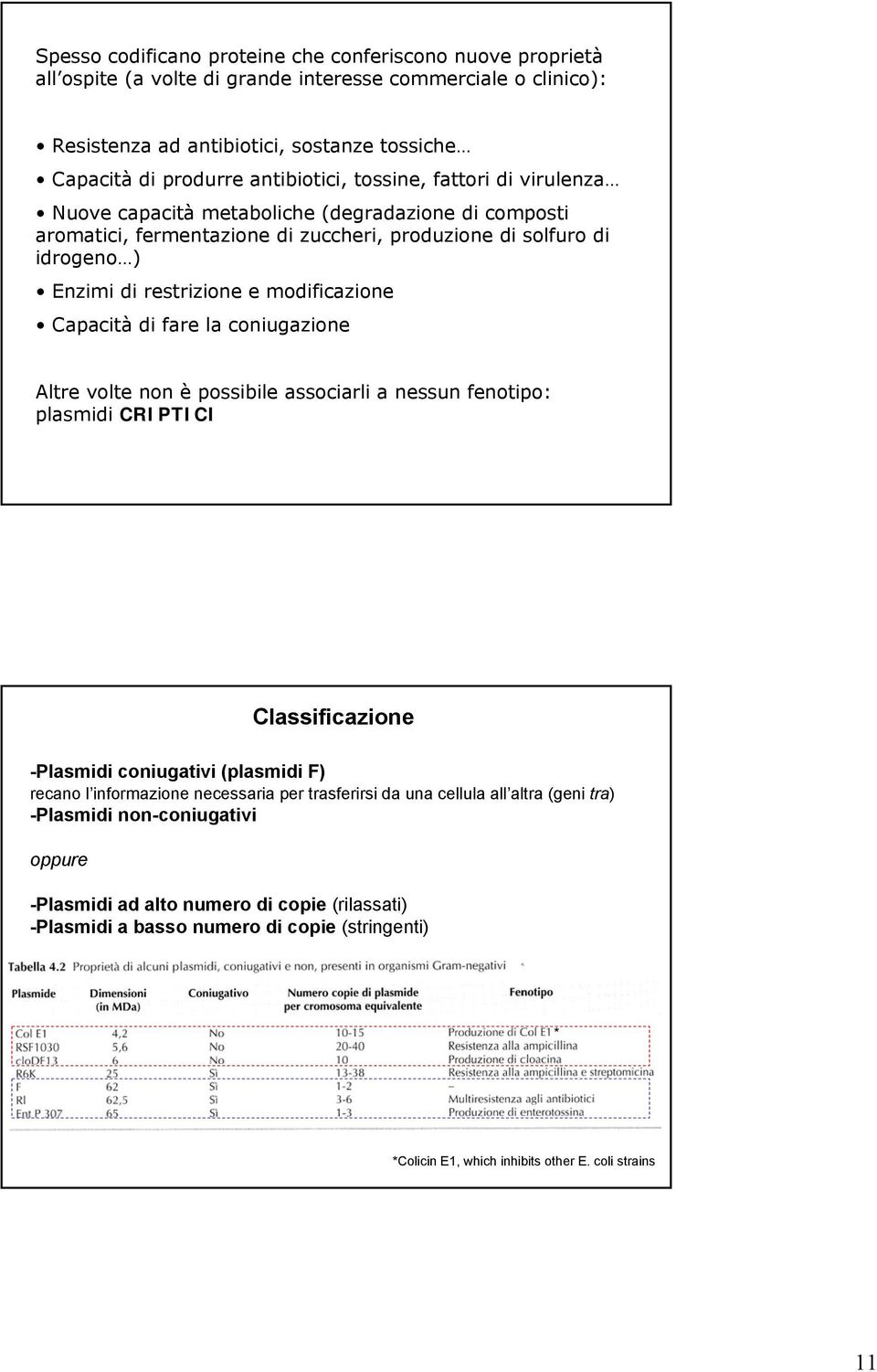 modificazione Capacità di fare la coniugazione Altre volte non è possibile associarli a nessun fenotipo: plasmidi CRIPTICI Classificazione -Plasmidi coniugativi (plasmidi F) recano l informazione