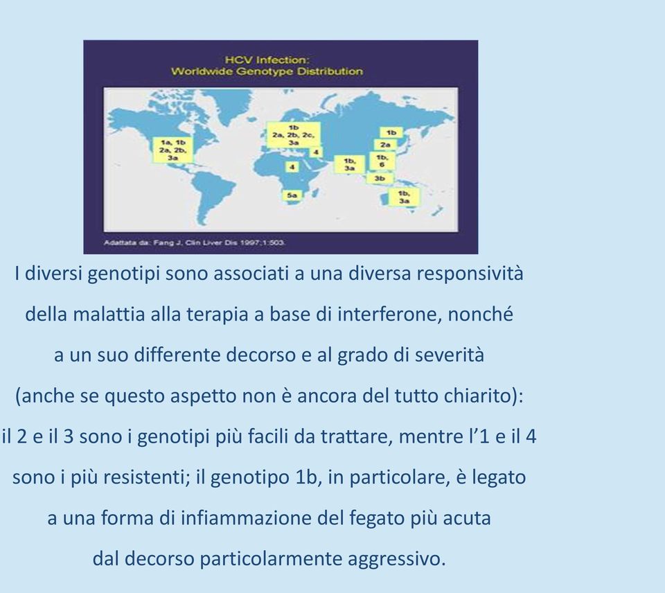 chiarito): il 2 e il 3 sono i genotipi più facili da trattare, mentre l 1 e il 4 sono i più resistenti; il