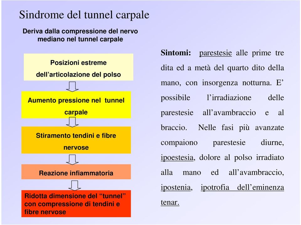 parestesie alle prime tre dita ed a metà del quarto dito della mano, con insorgenza notturna.