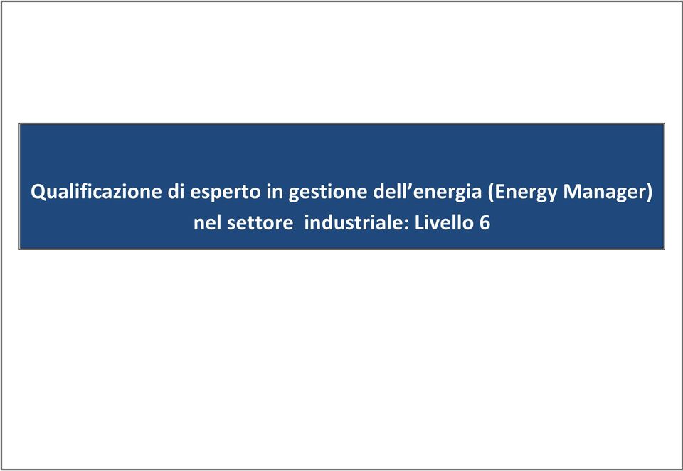 (Energy Manager) nel