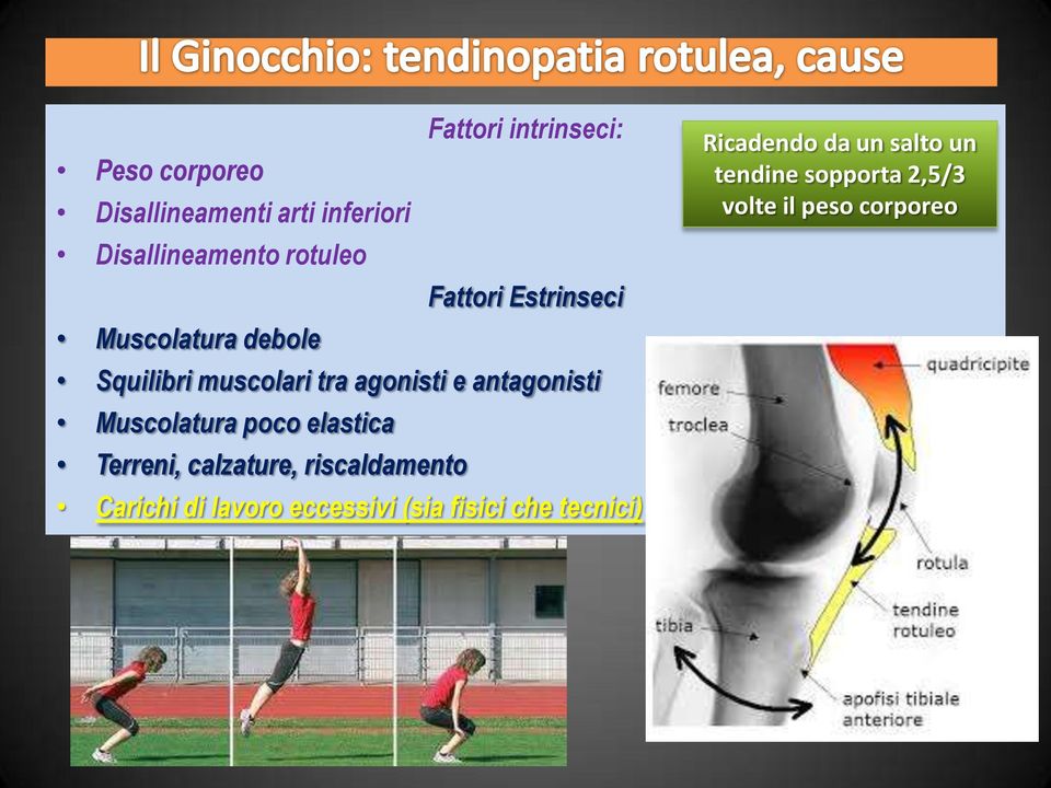 Muscolatura poco elastica Terreni, calzature, riscaldamento Carichi di lavoro eccessivi