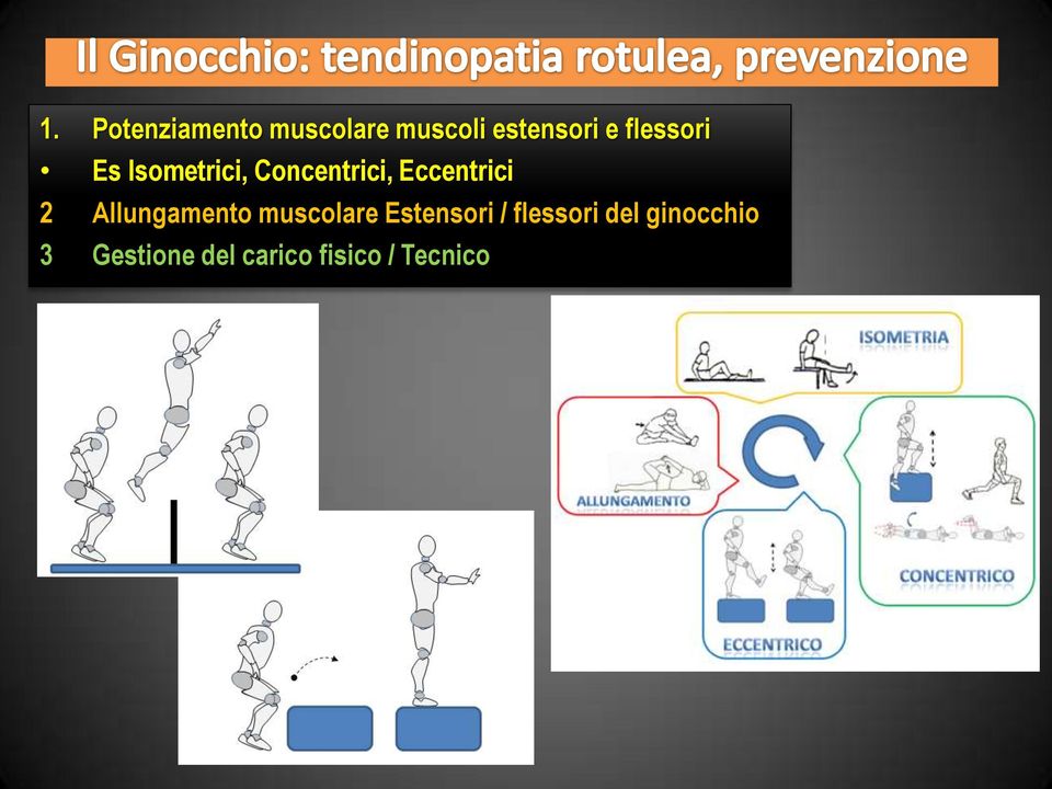 2 Allungamento muscolare Estensori / flessori