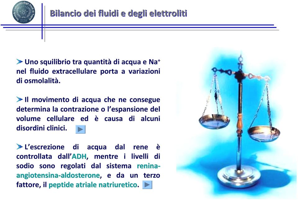 Il movimento di acqua che ne consegue determina la contrazione o l espansione del volume cellulare ed è causa di alcuni