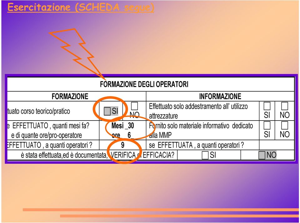 Mesi _30 Fornito solo materiale informativo dedicato e di quante ore/pro-operatore ore 6_ alla MMP SI se