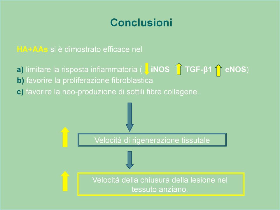 fibroblastica c) favorire la neo-produzione di sottili fibre collagene.