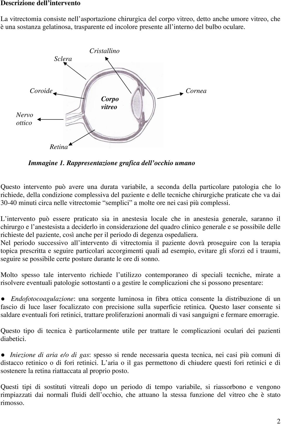 Rappresentazione grafica dell occhio umano Questo intervento può avere una durata variabile, a seconda della particolare patologia che lo richiede, della condizione complessiva del paziente e delle