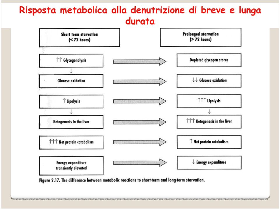 denutrizione di