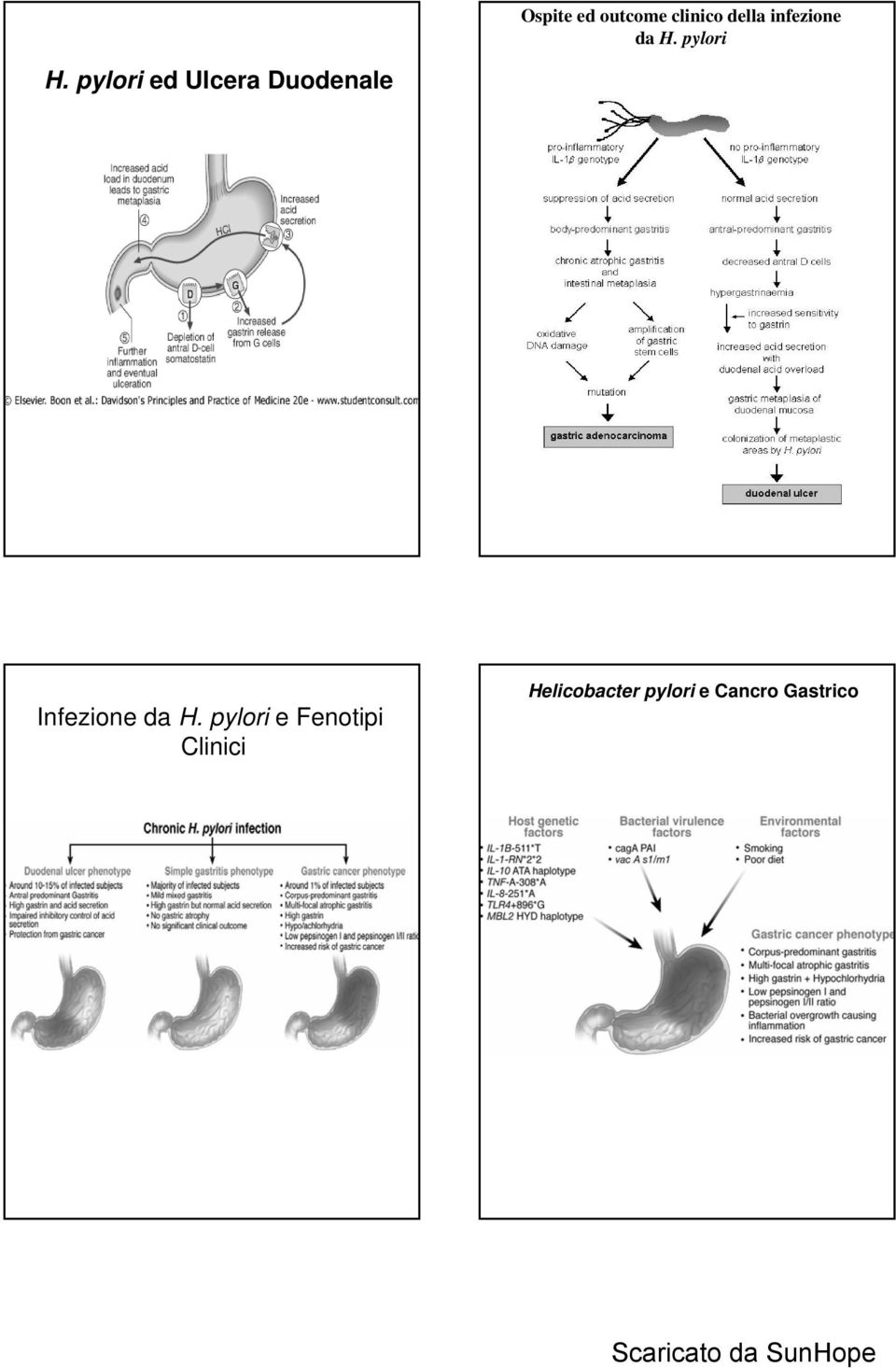 pylori ed Ulcera Duodenale Infezione da