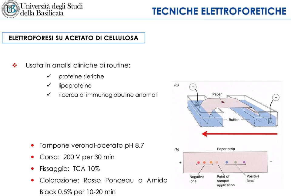 immunoglobuline anomali Tampone veronal-acetato ph 8.