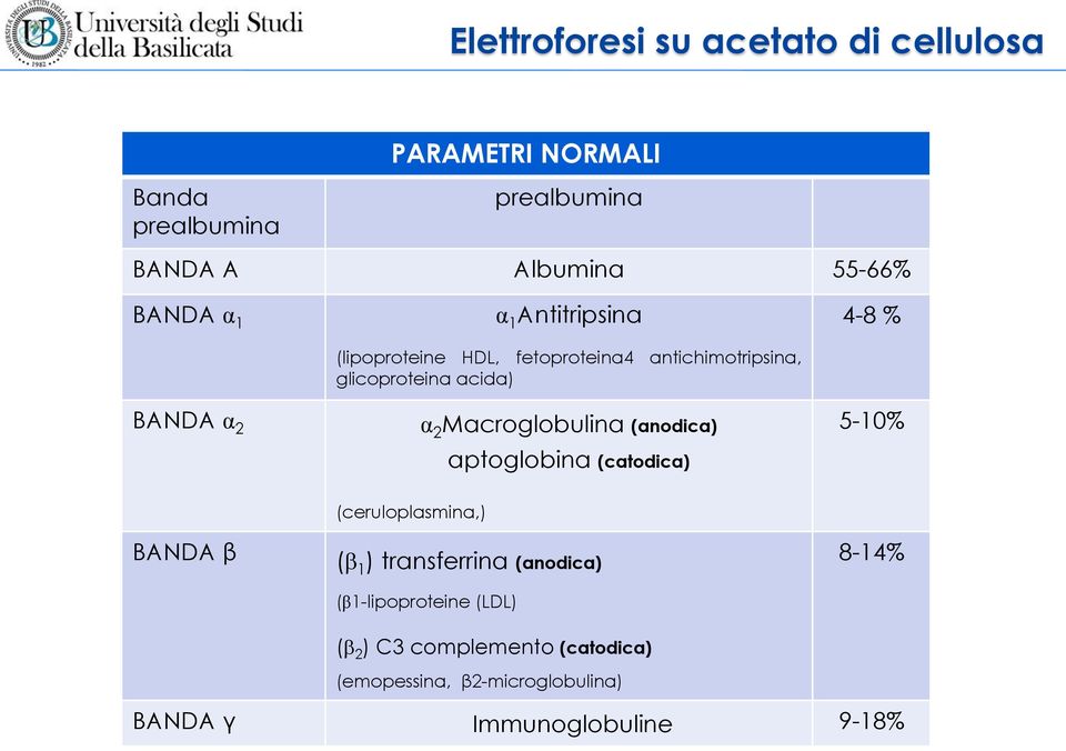 Macroglobulina (anodica) aptoglobina (catodica) 4-8 % 5-10% BANDA β (ceruloplasmina,) ( 1 ) transferrina (anodica)