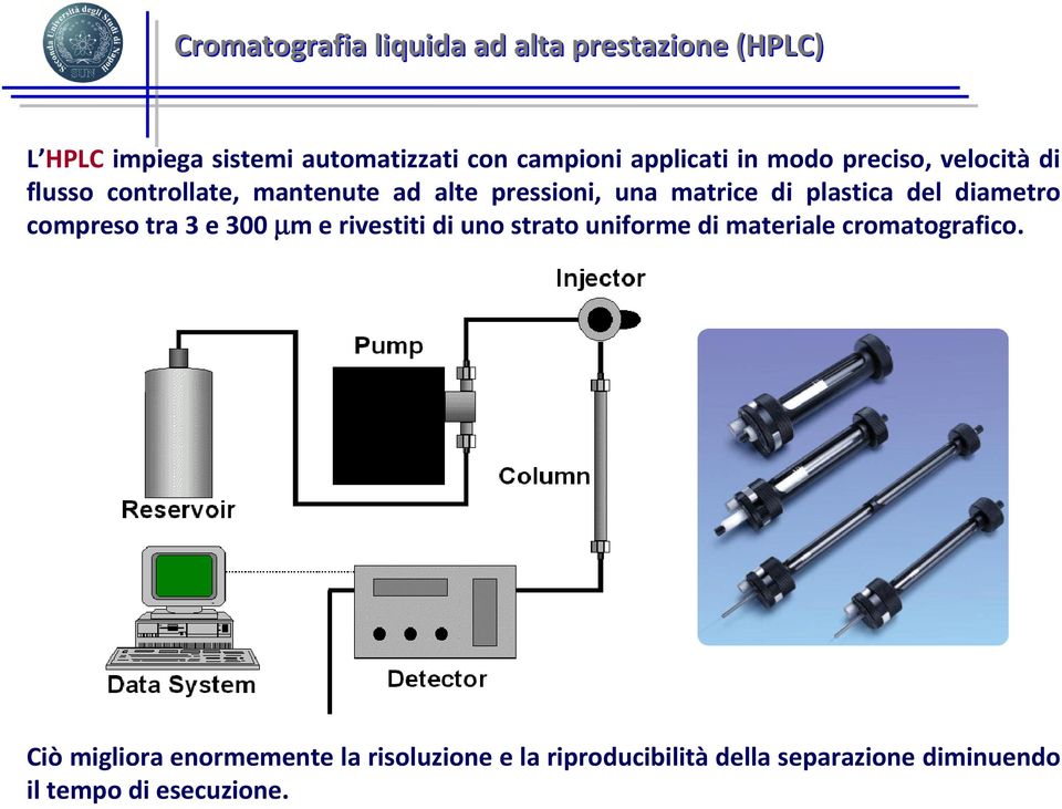 plastica del diametro compreso tra 3 e 300 µm e rivestiti di uno strato uniforme di materiale