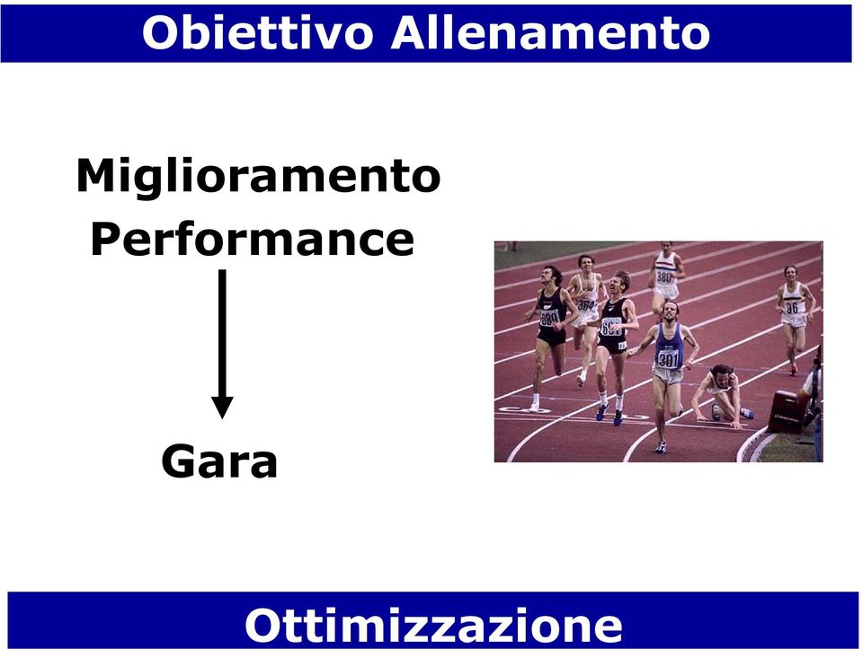 Ottimizzazione