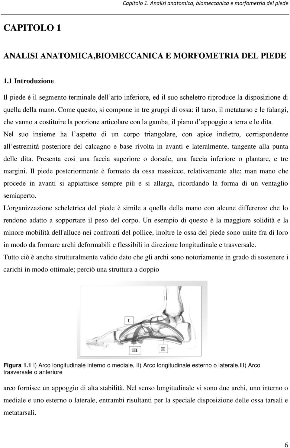 Come questo, si compone in tre gruppi di ossa: il tarso, il metatarso e le falangi, che vanno a costituire la porzione articolare con la gamba, il piano d appoggio a terra e le dita.